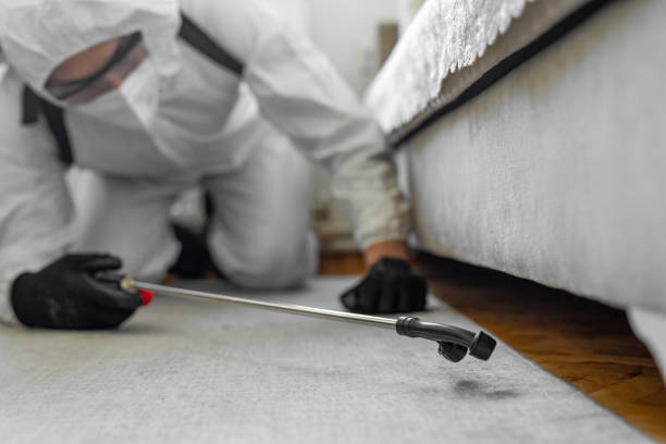Professional Pest Control technician working in Windham County County, VT